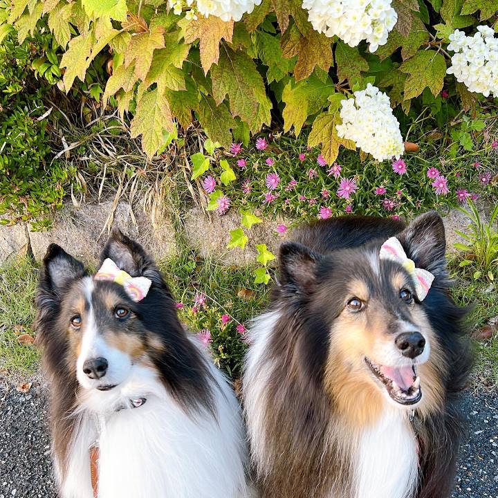 Bdef006f 23f9 44c9 8c5e b281b3d5d1e5 1654792214934