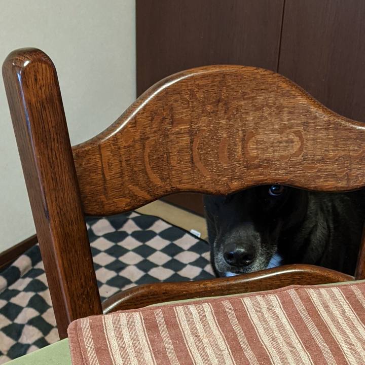 Bdef0299 d0aa 4f4a a6a8 d149cb3cbab5 1635209628827