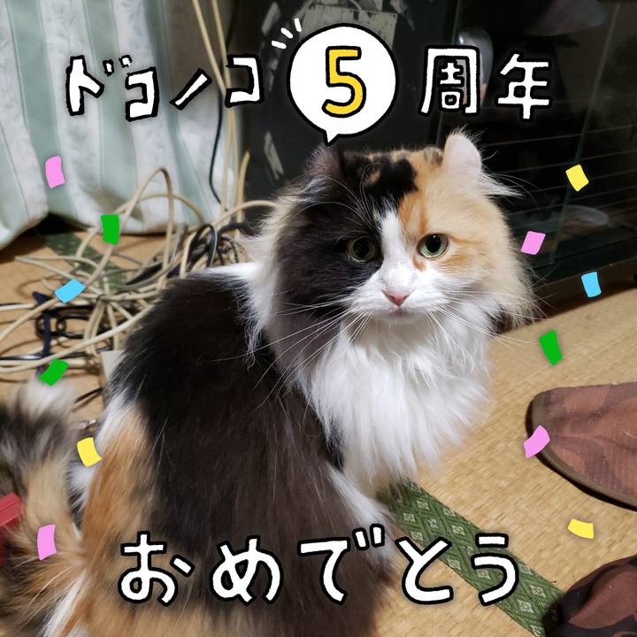 Bdef10b7 7808 437e b9fa 11a33c916513 1622904321238