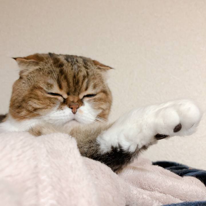 Bdef1e56 5896 41cd 8353 c205db61ba71 1573389593708