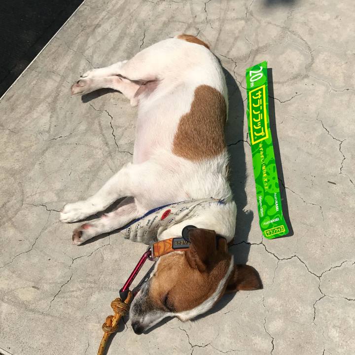 Bdef1eb3 f364 4f50 8414 3424824fd288 1752068382715