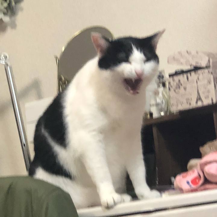 Bdef80c2 50a2 48d3 95dc 6204095c45fc 1523787620609