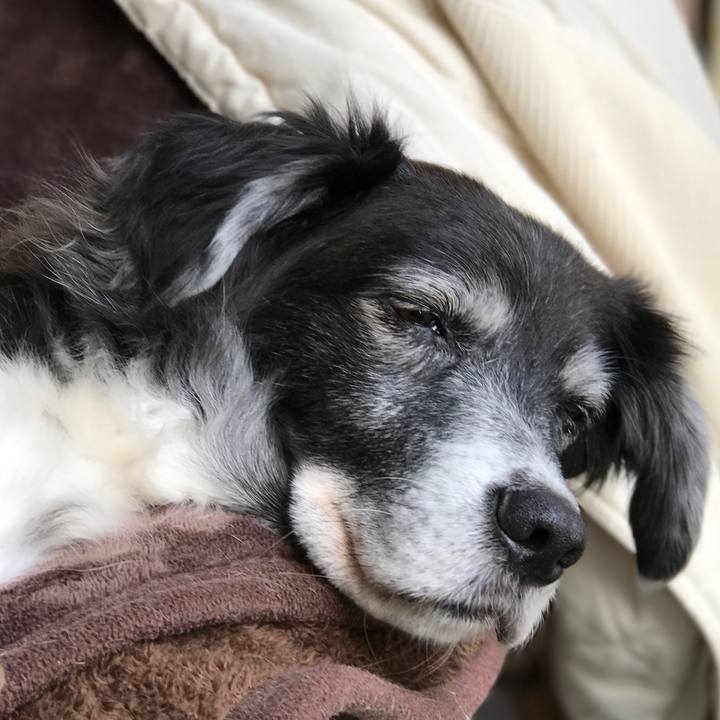 Bdef91b8 cc88 493a aeb8 6473525269b3 1516432439302