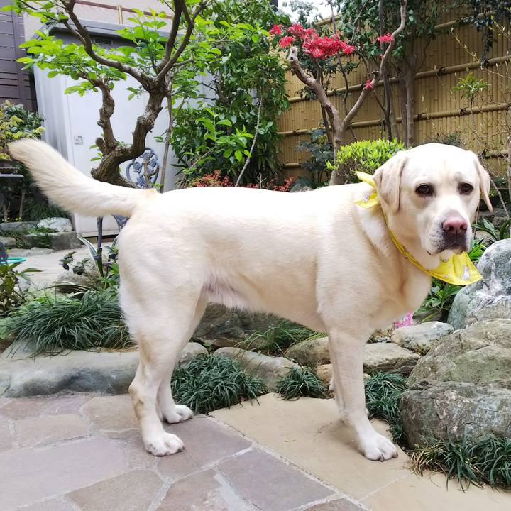 Bdefab9e ec34 4772 a43e 8ab64a1024bf 1555037597467