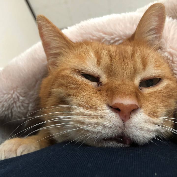 Bdefb04e 5b20 4cbd bf9e e7696e361b5f 1704598101938