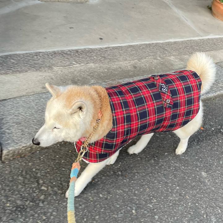 Bdefc6d4 2222 4c16 b129 de1877314b46 1677624898320