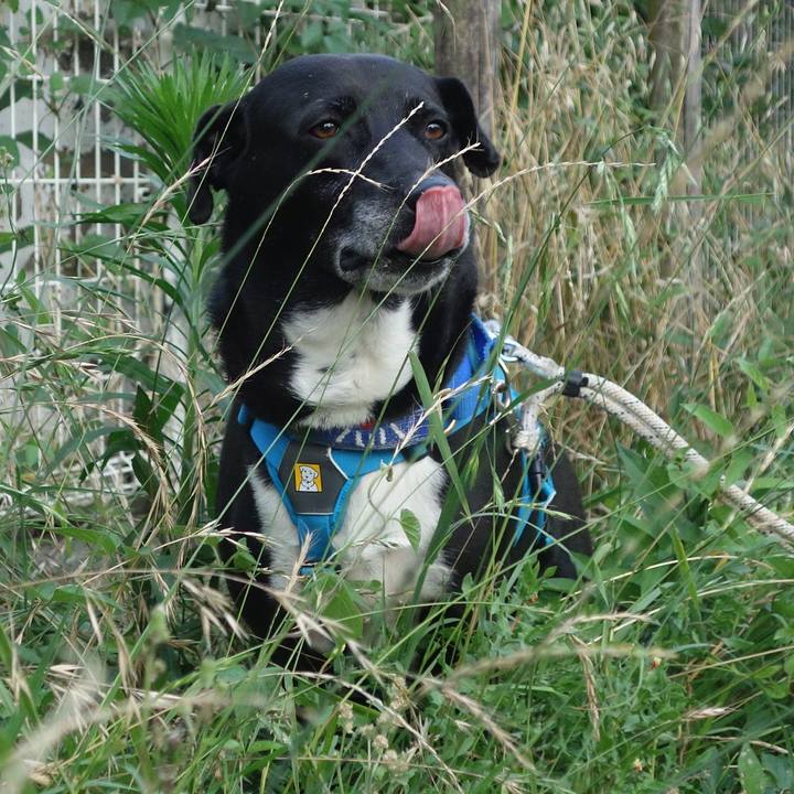 Bdefdf30 3c7a 4c05 8640 dffb6bf40f46 1687344904070