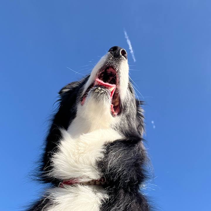 Bdefe23a 0dfc 4b4f 8c86 fcee2b2274e0 1763860912070