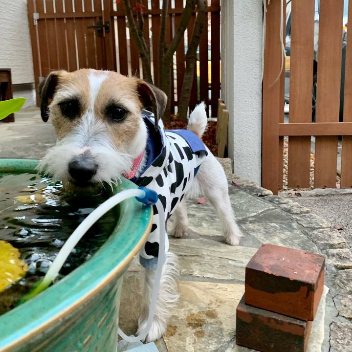 Bdefe25a e6d1 4931 8eac 0420f8ccd3b4 1607856979219