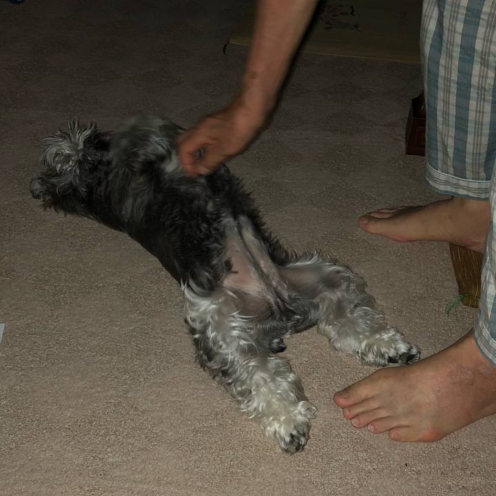 Bdefe961 0745 4ad3 b885 3e215e321952 1536330779446