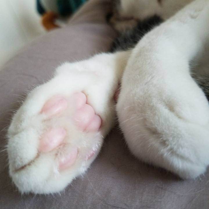 Bdefeeae b34c 415e b0fe fb97005e4dc0 1592612573401