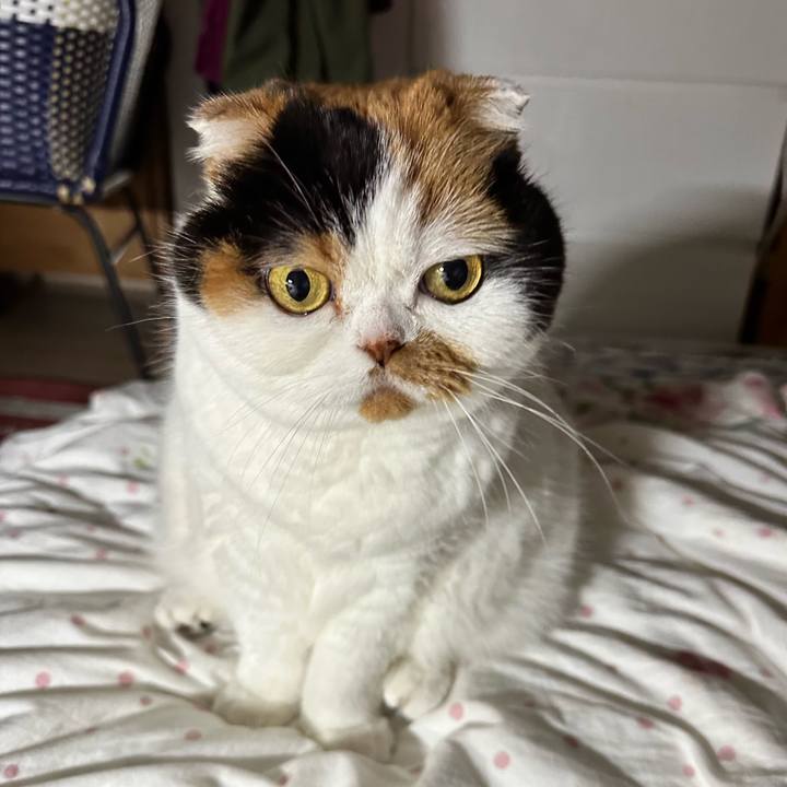 Bdeff405 02a7 40d0 b339 16bd887f2fdd 1669559404486