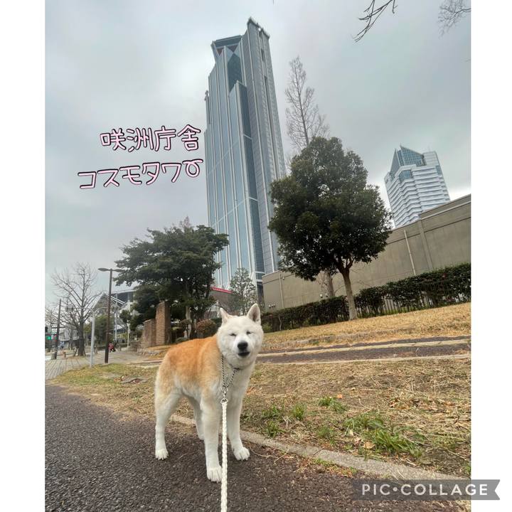 Bdf0065b ac02 45df a50b 4b114f90e02b 1704545279613