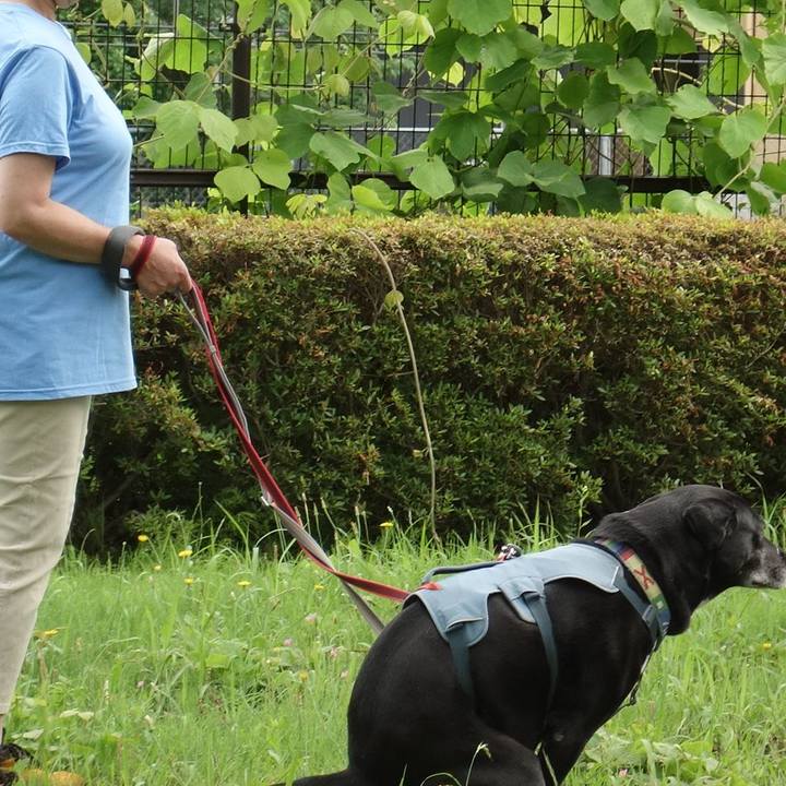 Bdf00874 e242 4c15 8858 c3b4521ef35e 1717723857114