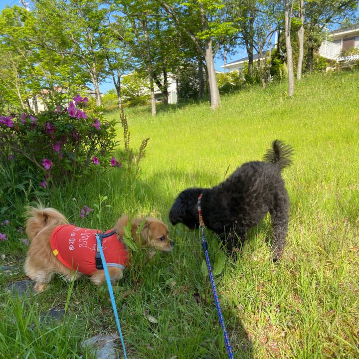 Bdf07902 6031 4cf8 b3b3 0b8543a13ee2 1620088871179