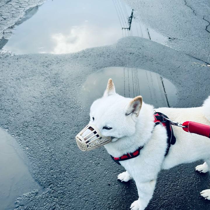 Bdf09ae8 edf1 429b 893b 0032454fe7af 1711749945827