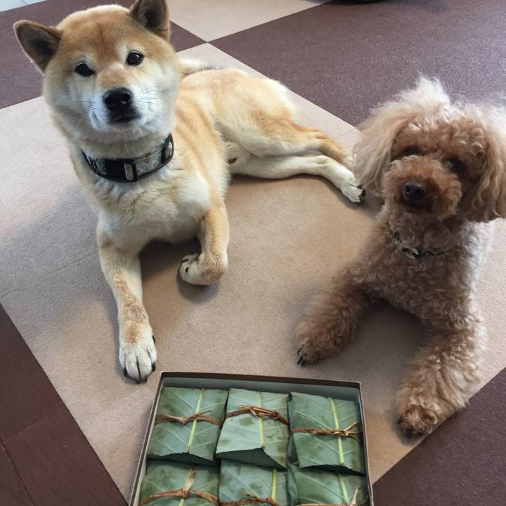 Bdf09fef a7b3 4a78 89f3 df96fa2058e3 1527054389532