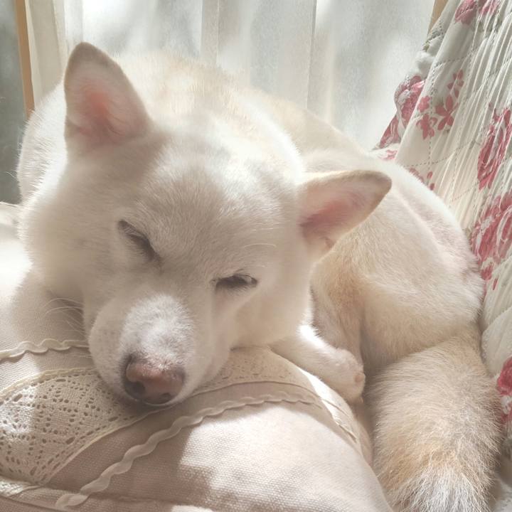 Bdf0a92e 0cff 4c75 9be3 873105b75ec2 1660798759374