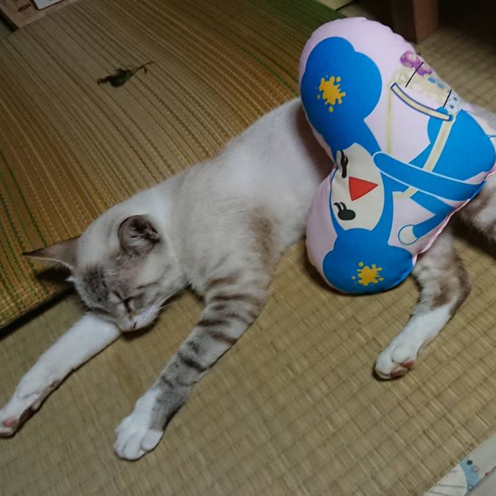 Bdf0af28 0412 45ab 9da0 7f43c645c407 1531576032116