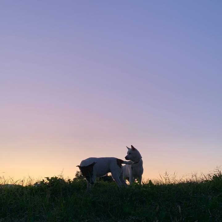 Bdf0ba8b aa4f 42e0 acc5 96f6d5d94b33 1572862403894