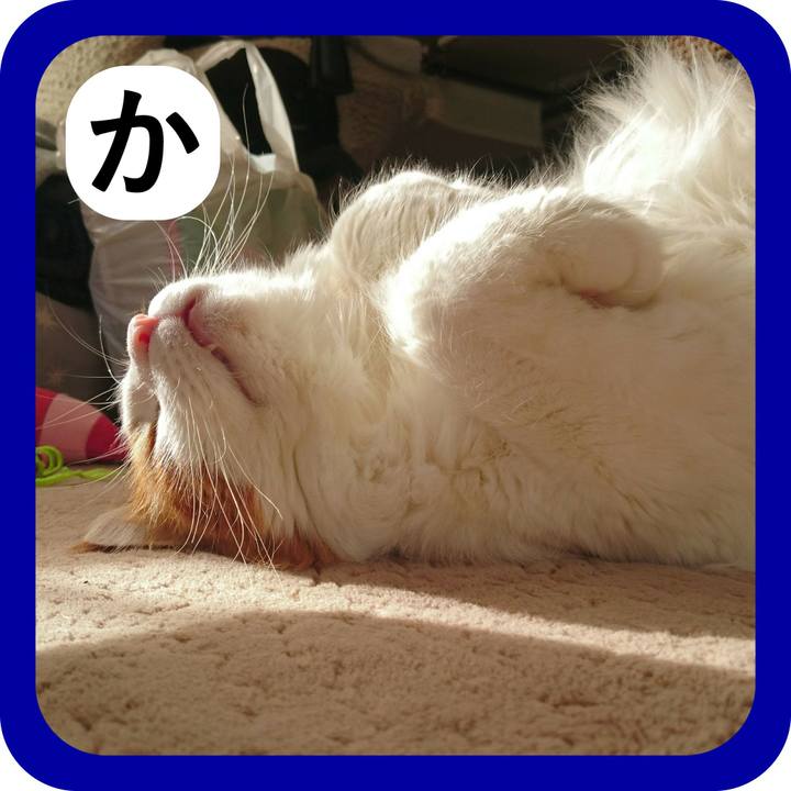 Bdf0baf4 3574 43e6 b5d4 c487f4d56550 1514957667791