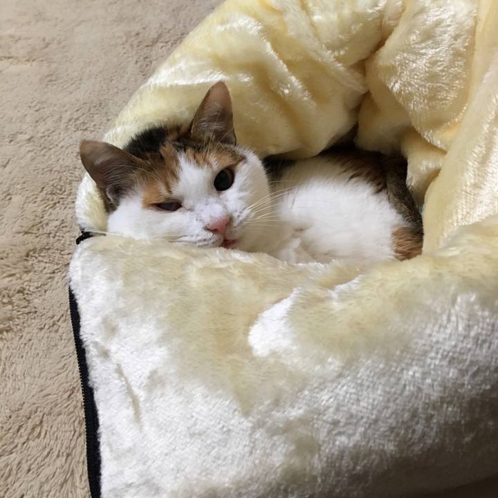 Bdf0cee5 6f39 4741 abae ea554fc1e4a8 1519884347864