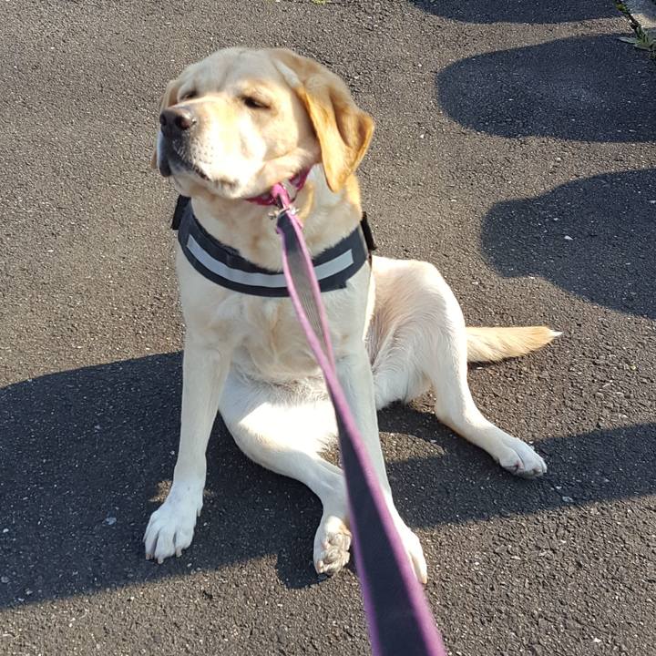 Bdf0e6ab c214 4d54 97c0 5e30414e61a2 1552615764778