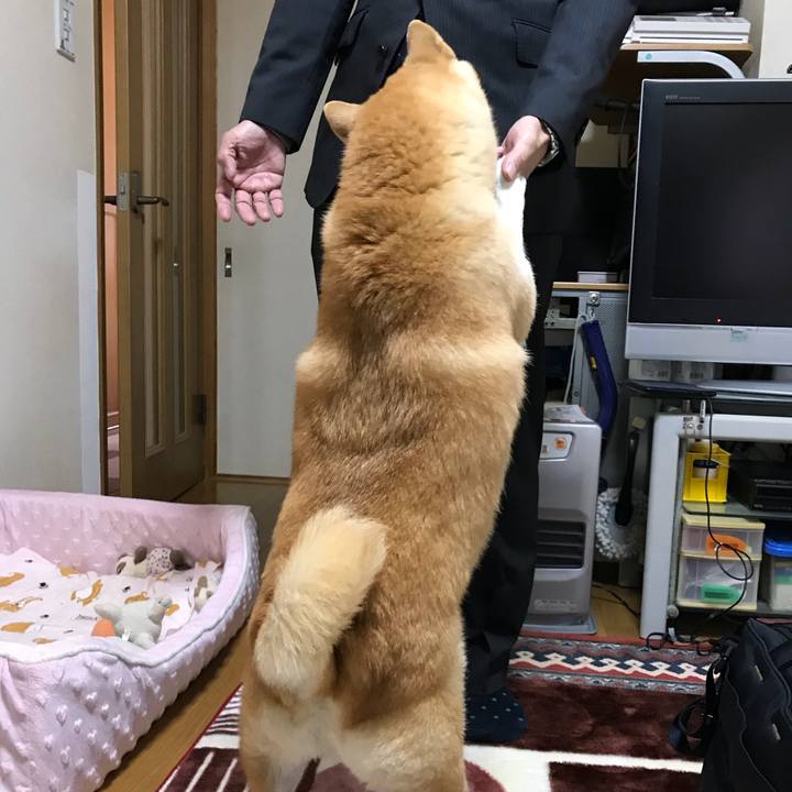 Bdf11d46 8553 47ae b313 5fe6af92bd1b 1510837740229