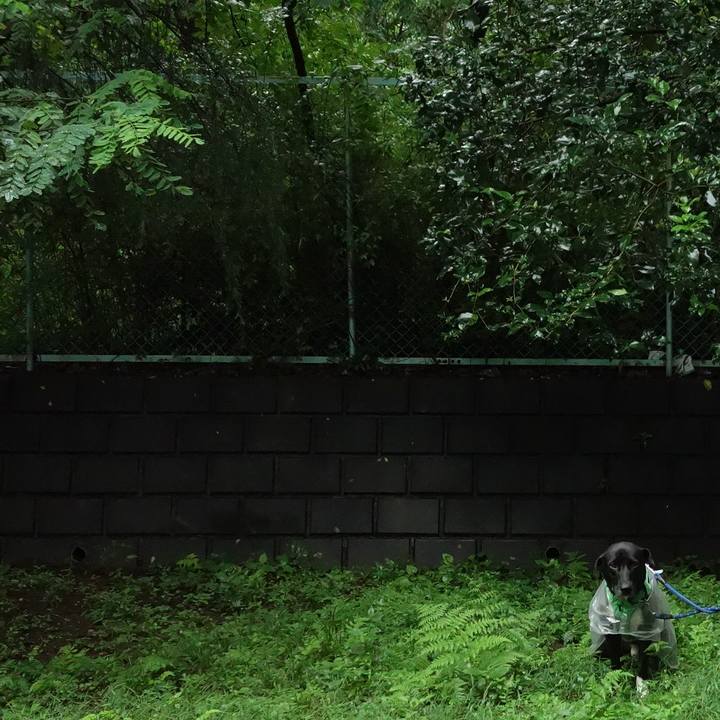 Bdf13ccb 417b 4005 af21 067af9963795 1595722945855