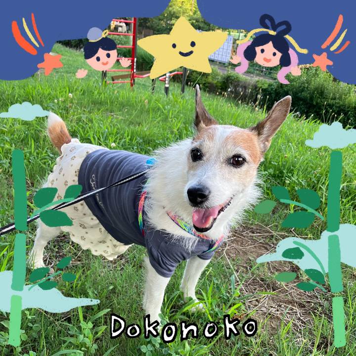 Bdf1605d dcc6 4fe7 bf75 a1b57e6d931b 1720829720950