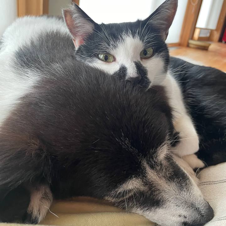 Bdf16a1b 53e3 4ad8 8da4 99f7d76124d9 1761103481199