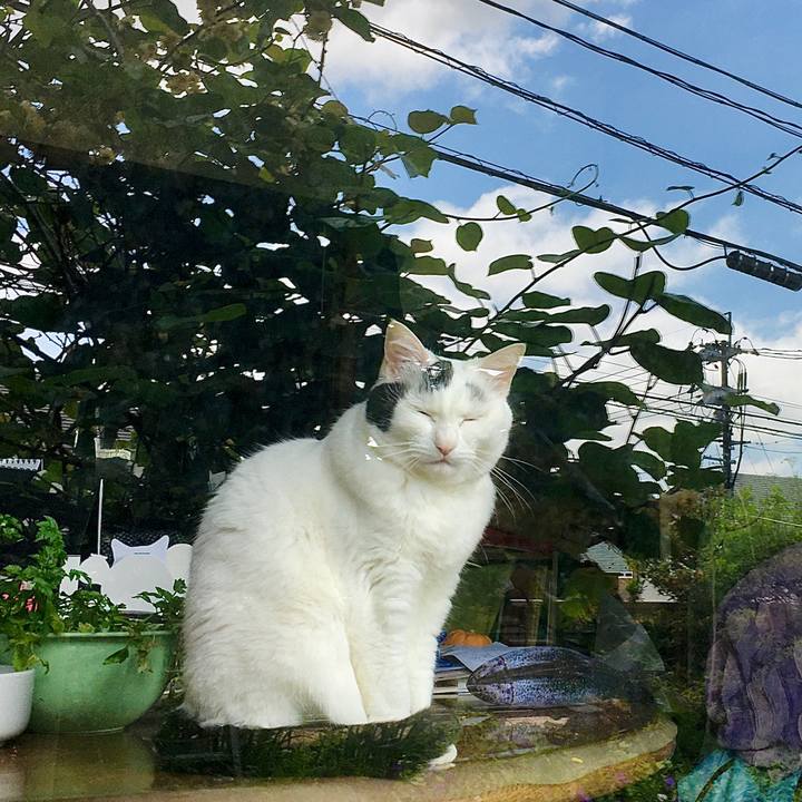 Bdf16f05 69b3 498b b857 e4cfd5ca003e 1623459365097