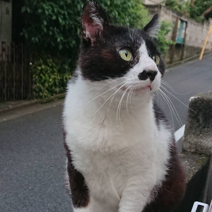 Bdf1a3c6 f2de 4443 b75b cdd60c7e1be8 1563961269413