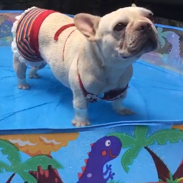 Bdf1dc56 3f4e 44b8 8785 6fd78061ffc7 1532428657689