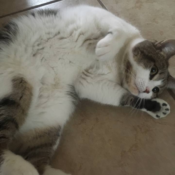 Bdf1e5ce 59e5 4587 a6cd feedb034640a 1648917152330