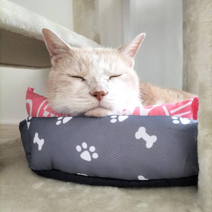 Bdf242b9 b10c 4e04 a4da 9573cd455412 1693093610620