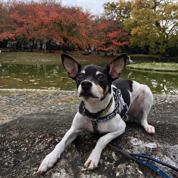 Bdf2acff c734 4a6e 9e2a fdc8f4a01c9e 1668903083154