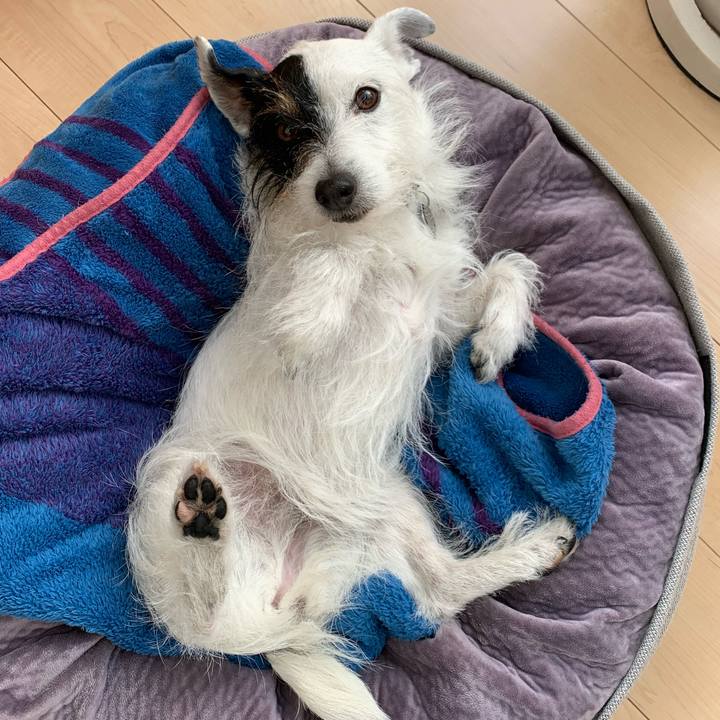 Bdf2b0c8 5b75 4a0f bc87 74be7547c200 1646876432283