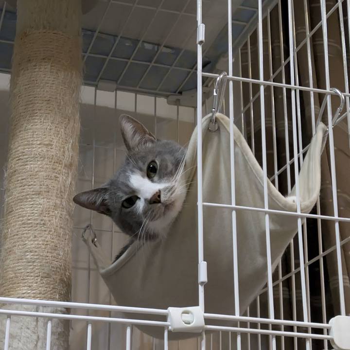 Bdf2b74d 45e9 4555 85a1 24c1b37c4ffa 1763203049151