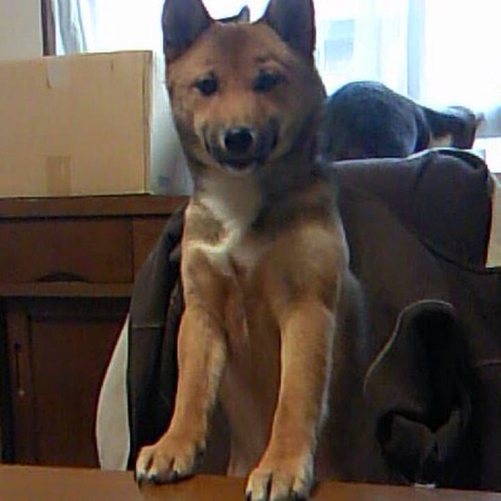 Bdf2b804 af97 492a b094 1791f83775ee 1512127497201