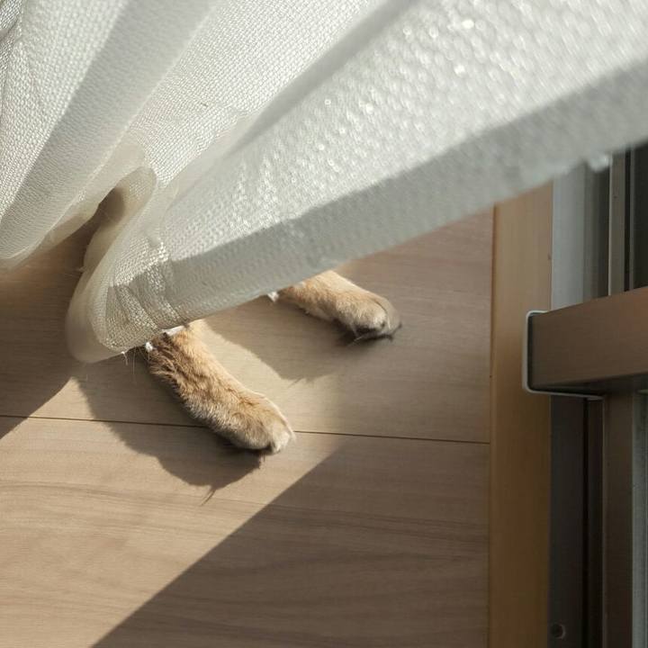 Bdf2d8e2 f490 4a95 874b becfc088f34c 1548465470696