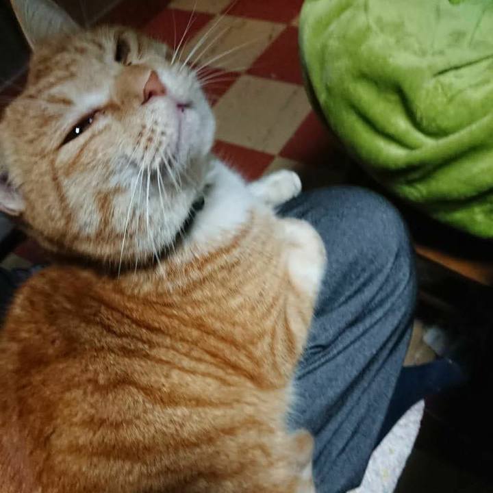 Bdf312ff 3b40 4b80 9aba b8ce49c515a2 1582880096288