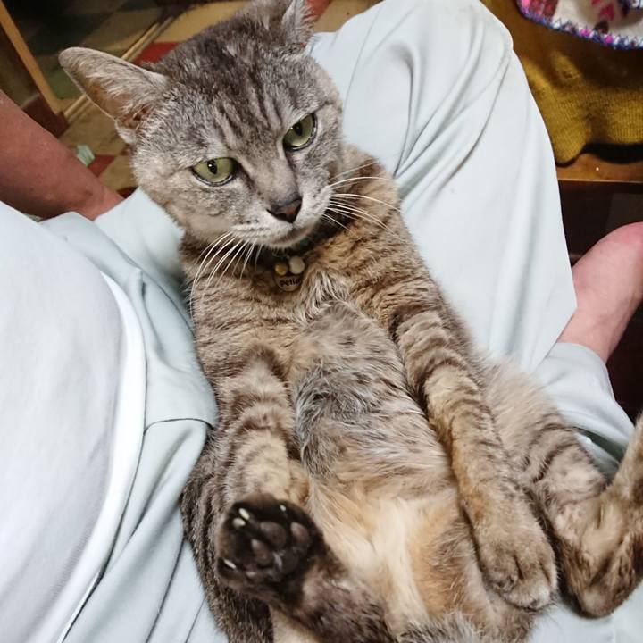 Bdf31521 cf49 40e3 8262 efb017f3ed36 1563275794778