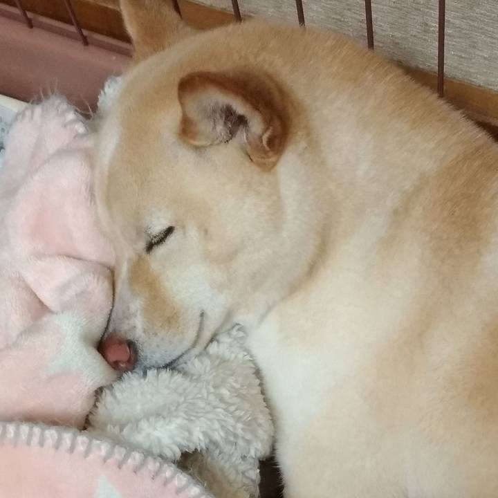 Bdf31926 13ee 4e4c 86ae 029f5b3d453a 1553172073822