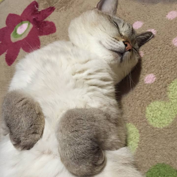 Bdf394d5 83aa 4778 8c15 0a0fe8a582da 1540292603755