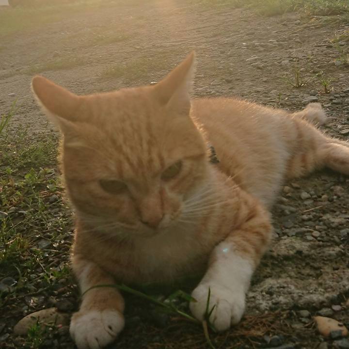 Bdf3a7ad e869 4a9c a484 e532a97543a0 1567112146552