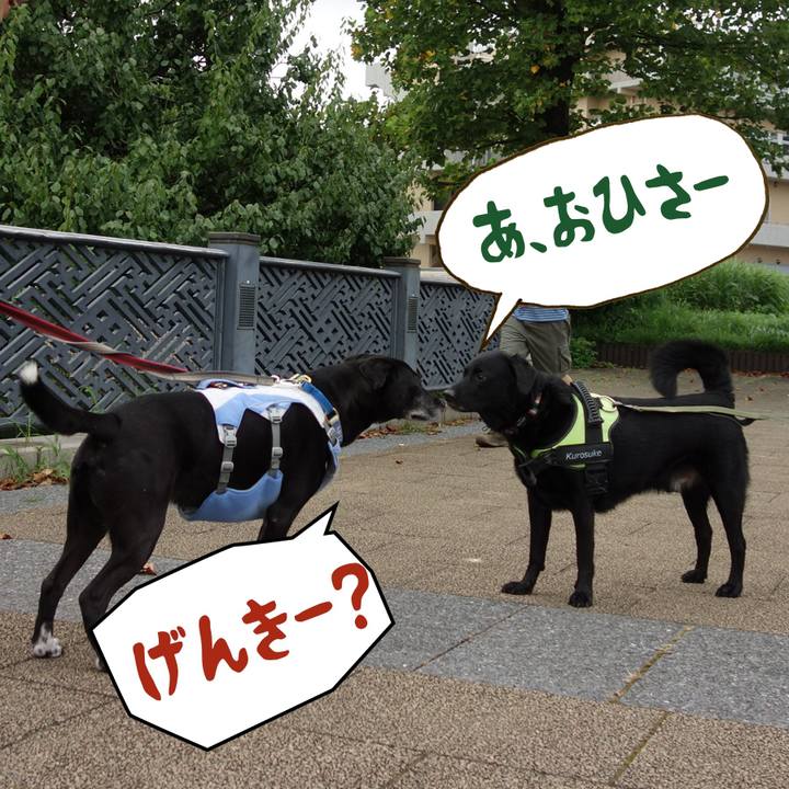 Bdf3af24 332f 4edd aaf3 20ef133a802b 1722643694443