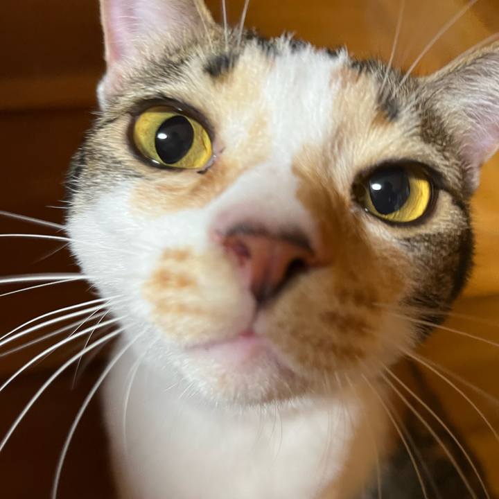 Bdf3c621 958b 4316 82c7 cbfc8c1892fa 1659993034743