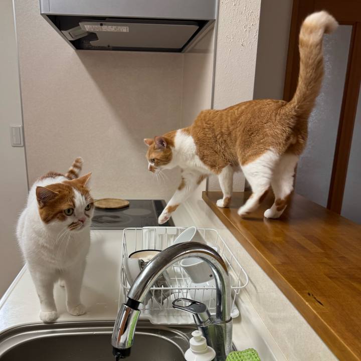 Bdf3cca7 e226 4cfe b84f 157ef9766044 1761877950184