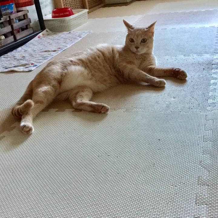 Bdf3db07 c0c7 4c73 964e 81f6ef9dfd6c 1534233846125